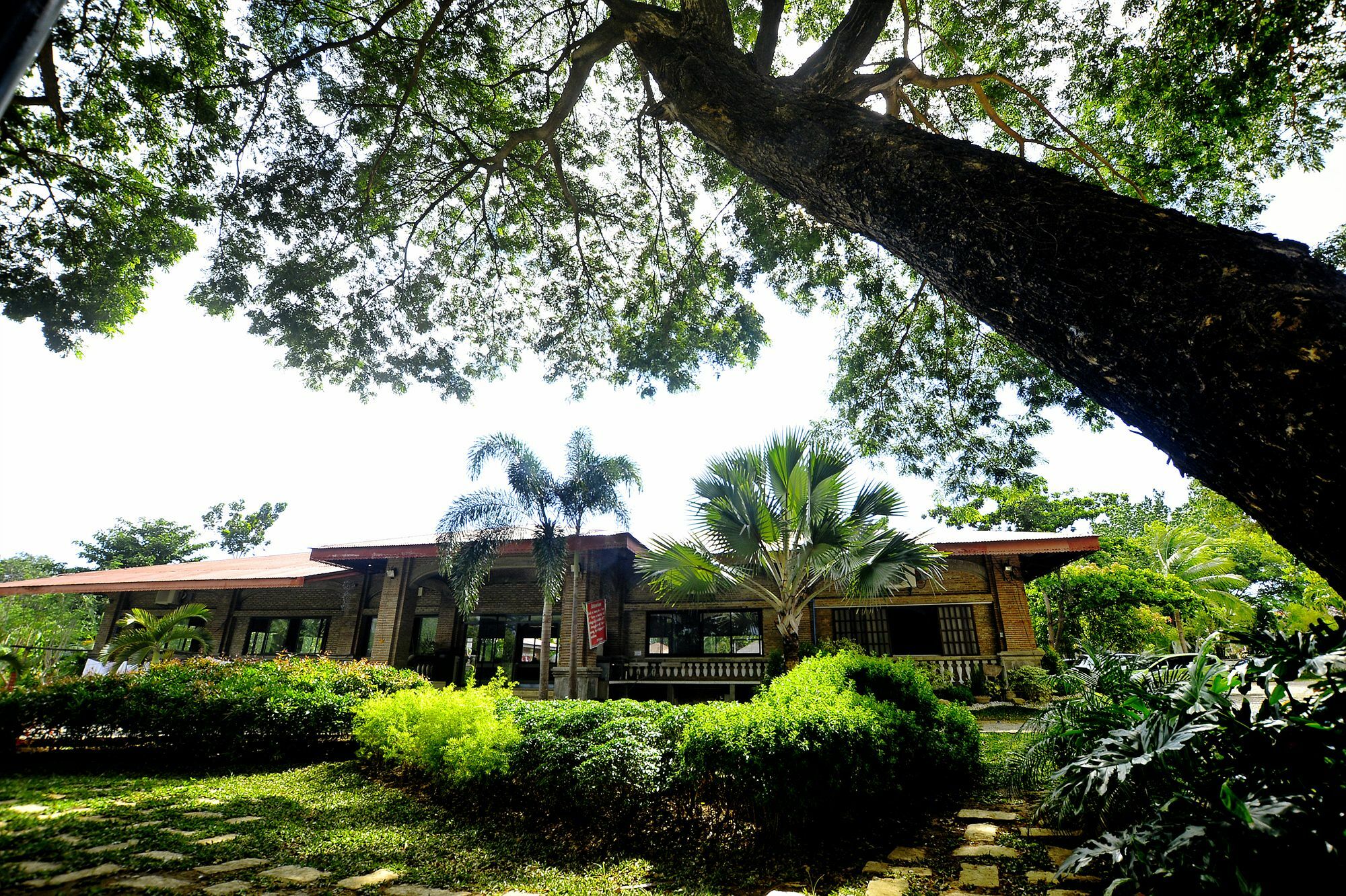 Reddoorz Plus Near Vigan Convention Center Esterno foto