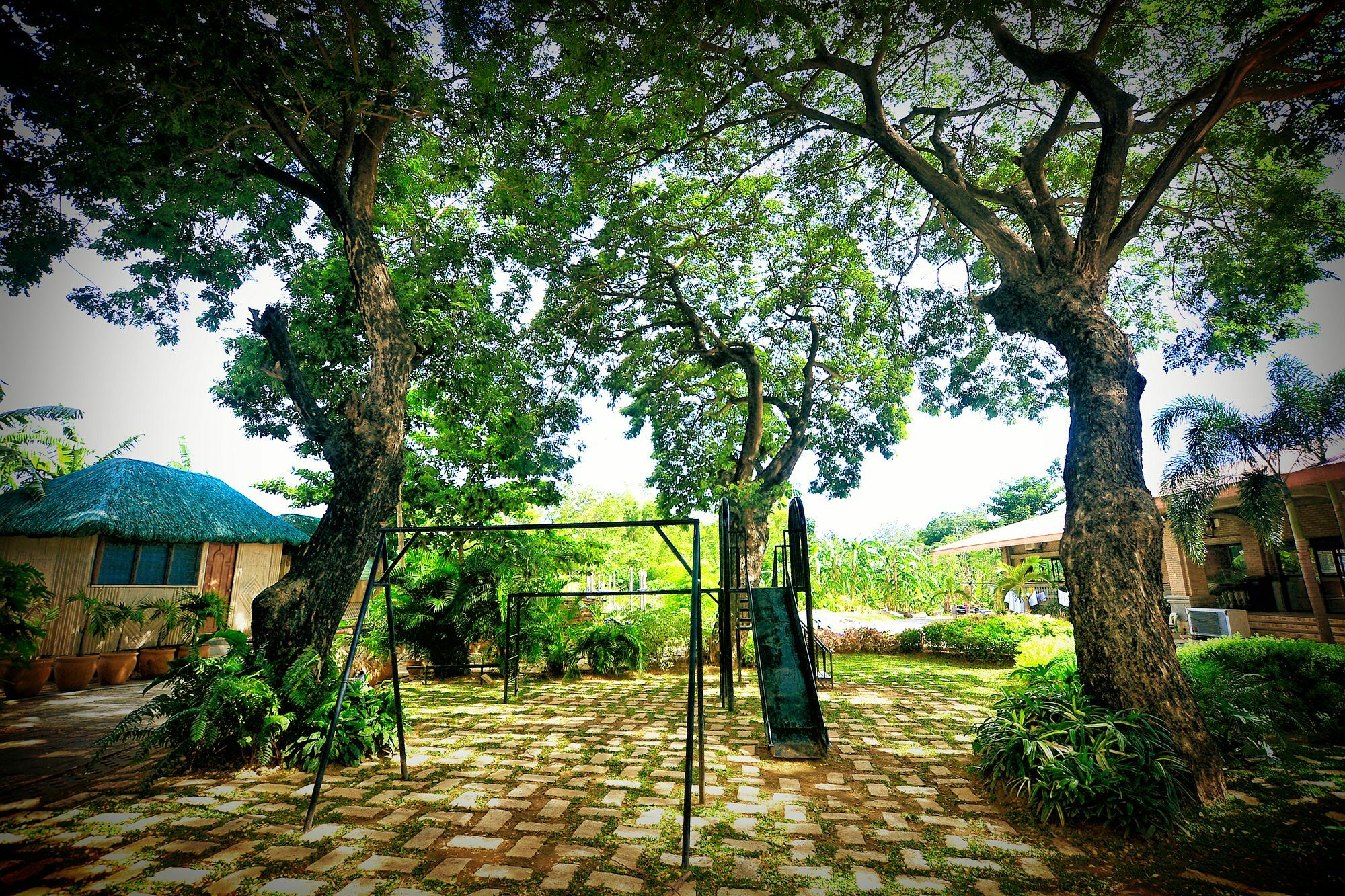 Reddoorz Plus Near Vigan Convention Center Esterno foto